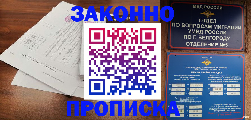 прописка в Мурманской области